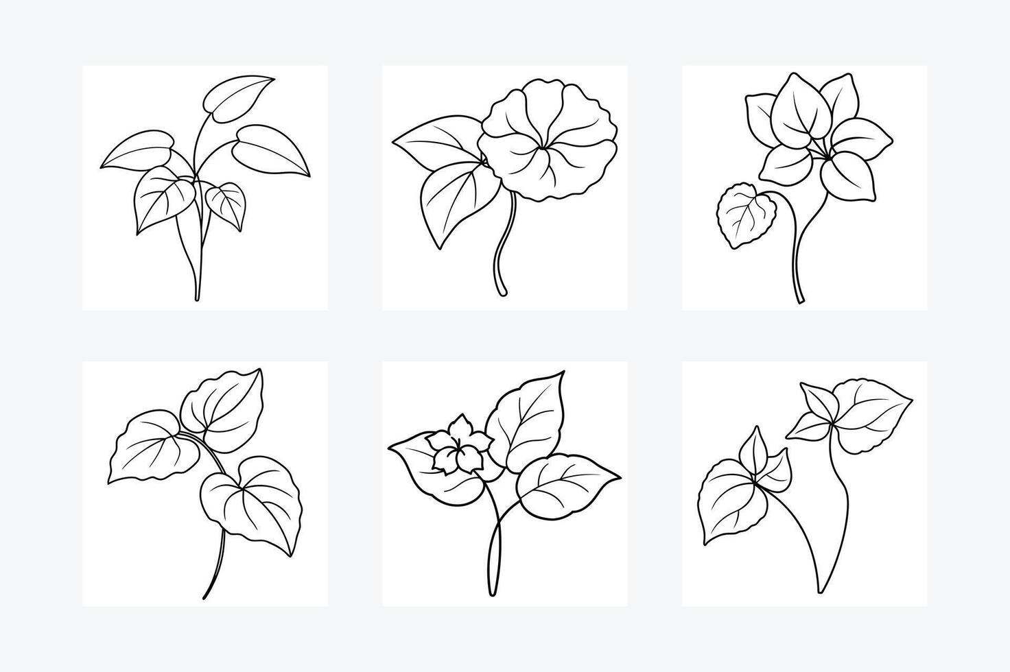 Begonia flower line art illustration vector