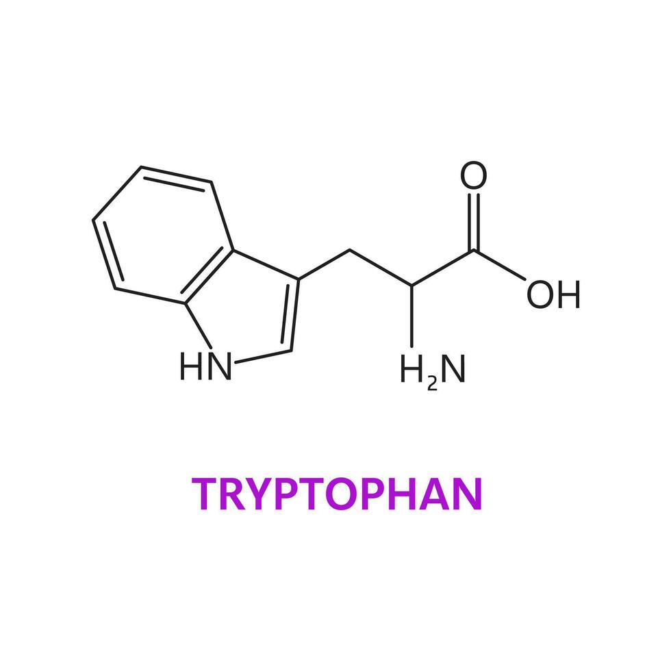 Tryptophan amino acid chemical molecule structure vector