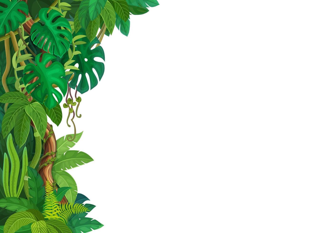Tropical jungle forest lianas and monstera leaves vector
