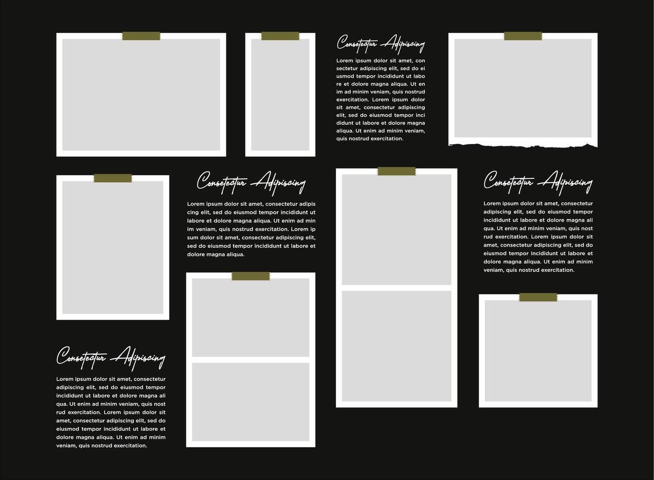 collage frame template photo vector