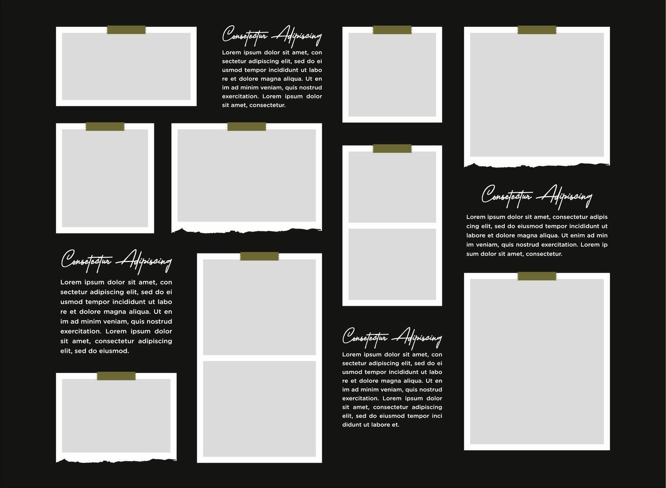 photos frame collage abstract vector