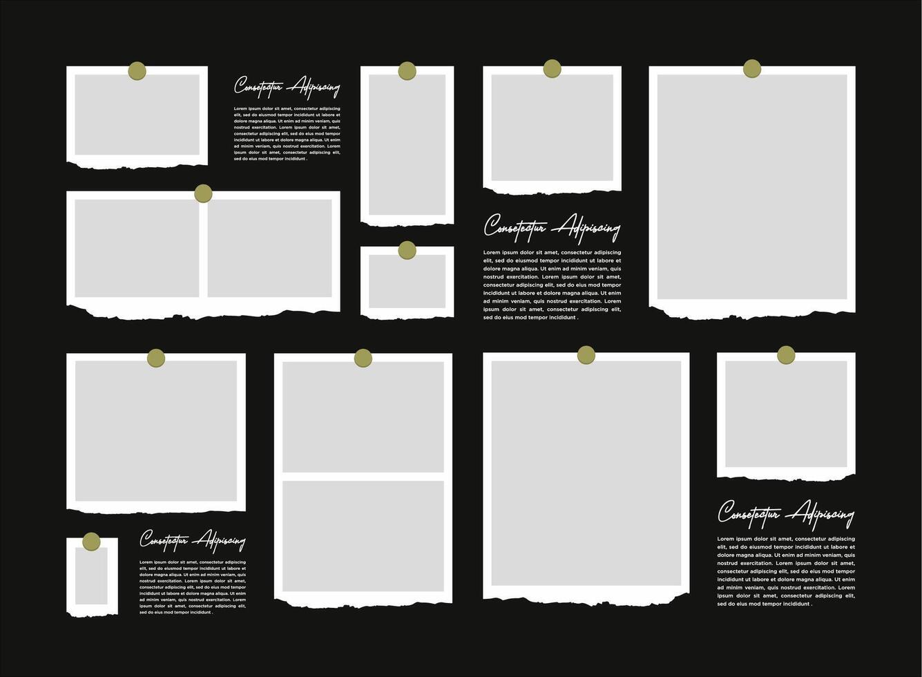 Collage grid photo effect vector