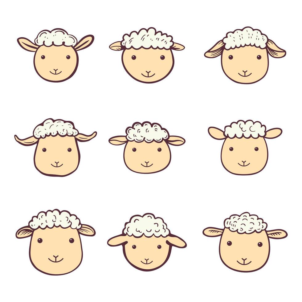 Cute sheep set in kids style vector