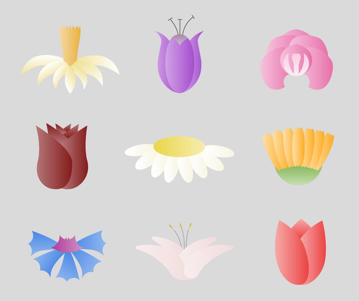 Simple hollow colored flowers decorated with a gradient. Botanical nature modern trendy elements illustration. vector