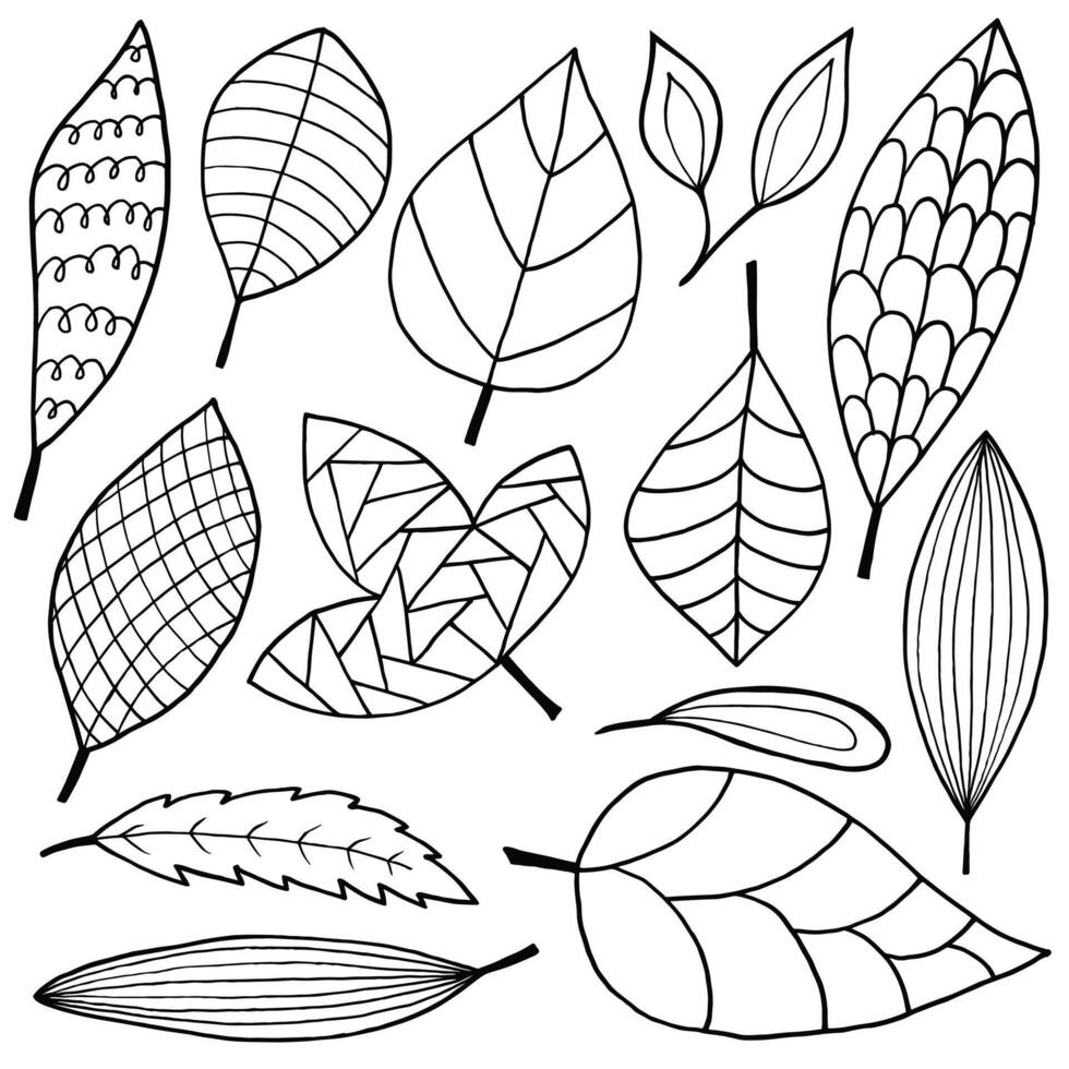 Abstract doodle leaves line art style set vector