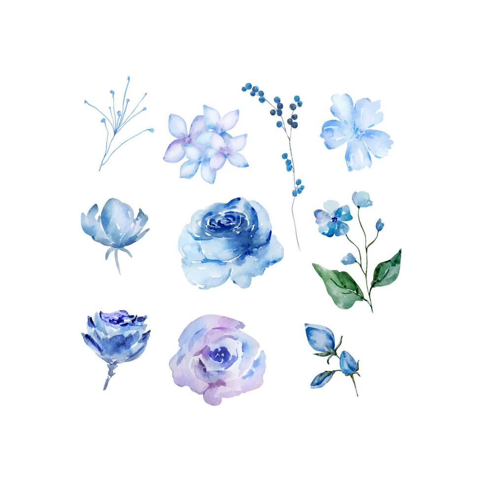 Blue watercolor blossom flowers set vector