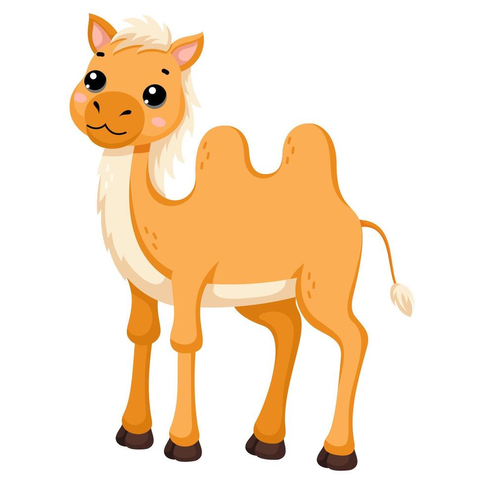 African wild camel vector