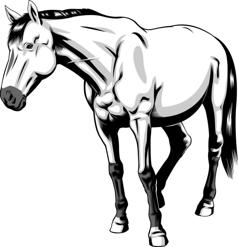 Outlined Realistic Cartoon Horse Silhouette Stands vector