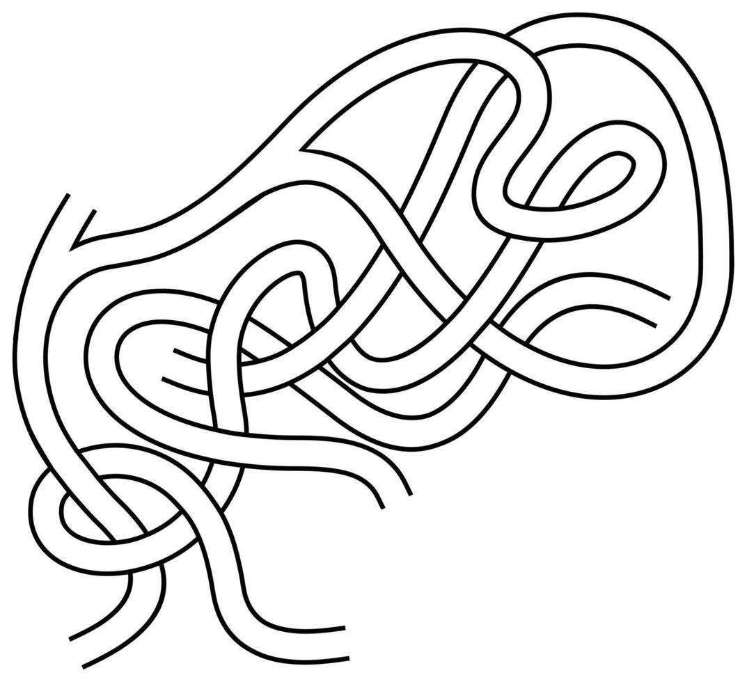 Maze Labyrinth With Entry And Exit vector