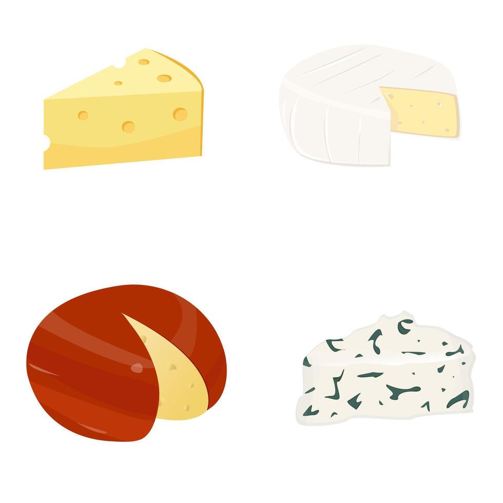 Cheese set on white background vector