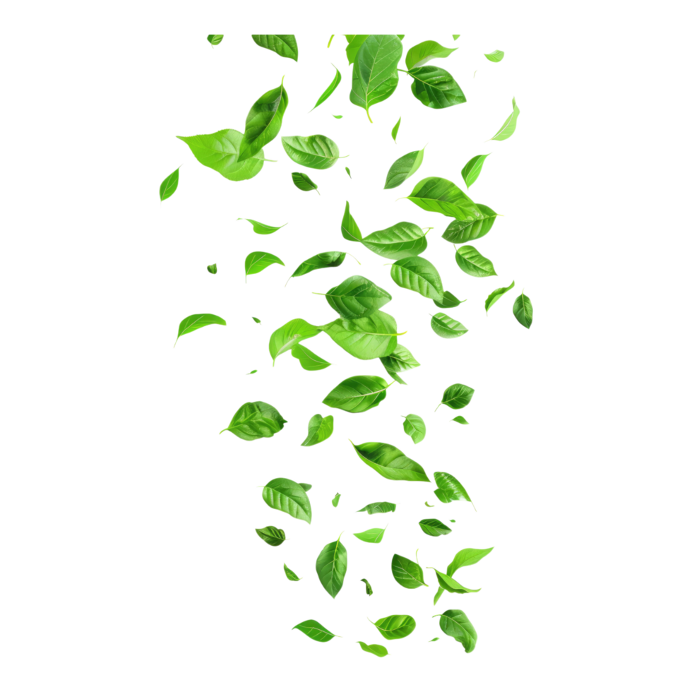 Flying green leaves isolated on transparent background png