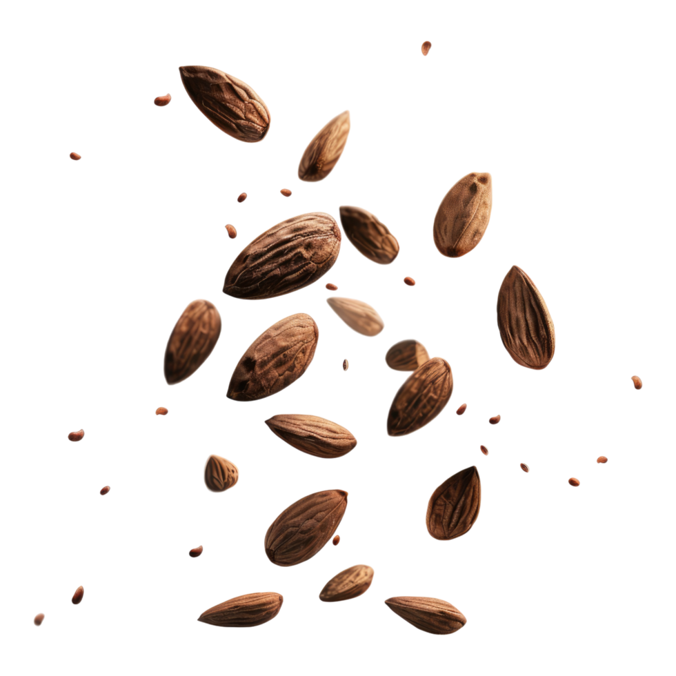 Flying almonds isolated on transparent background png