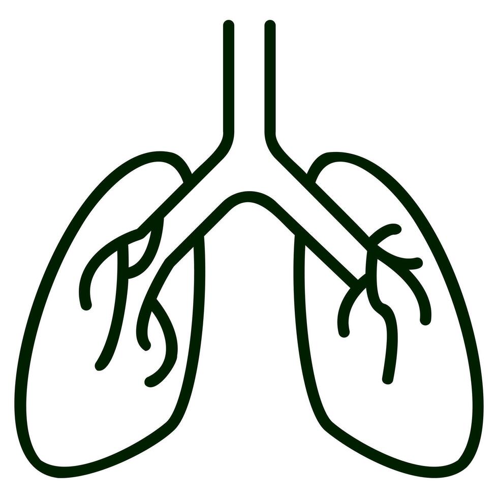 Lungs Outline Icon vector
