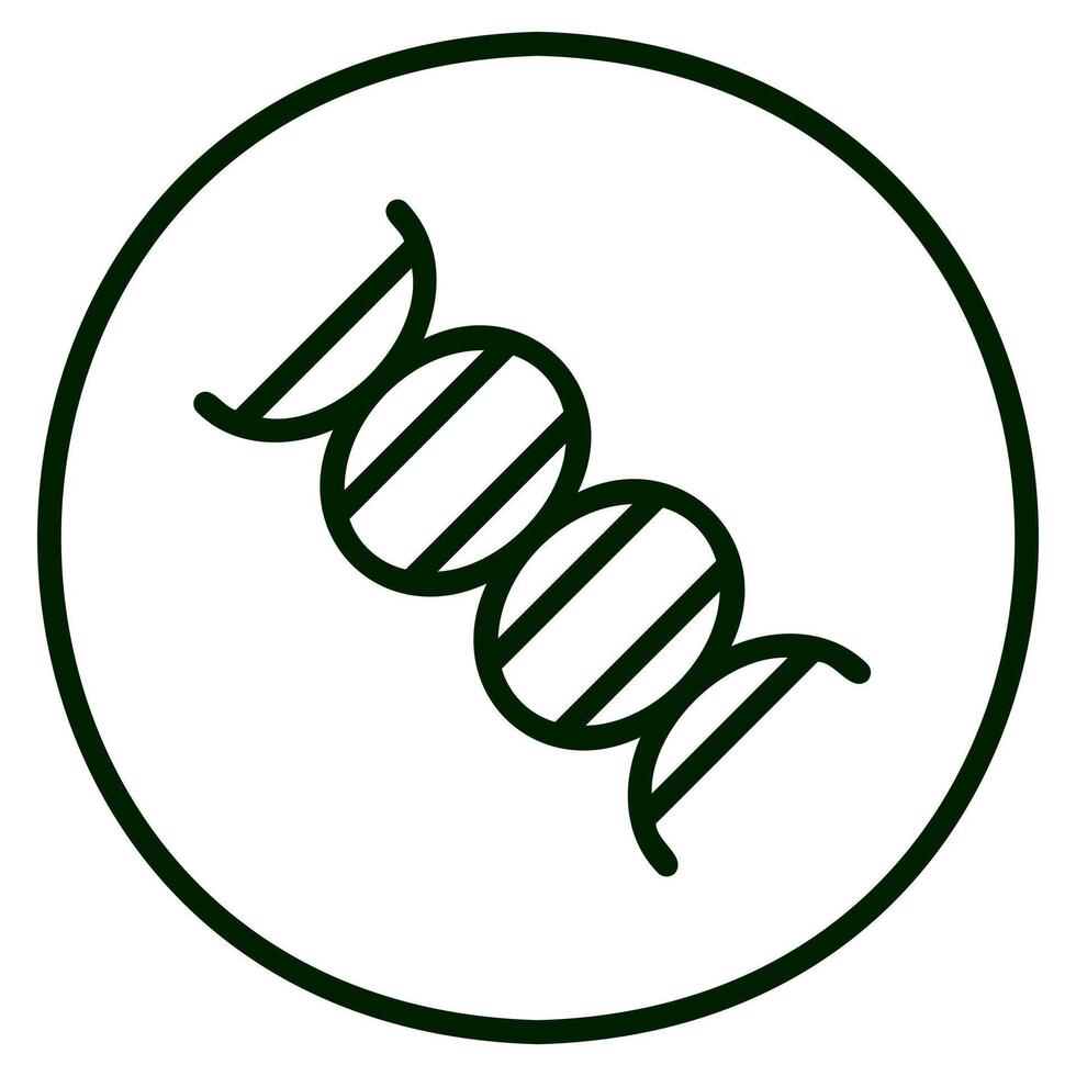 DNA Helix Outline Icon vector