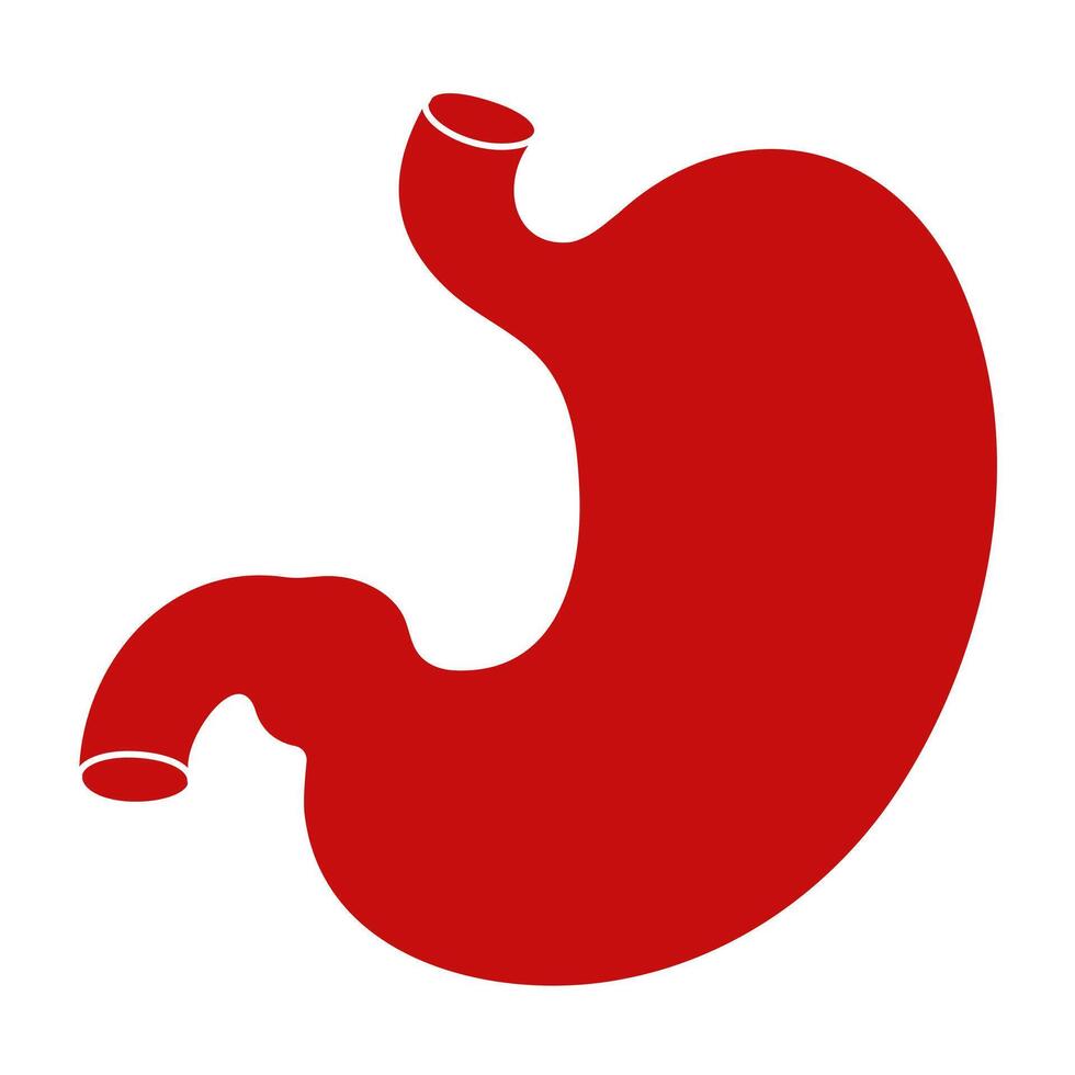 Stomach icon isolated in white background vector