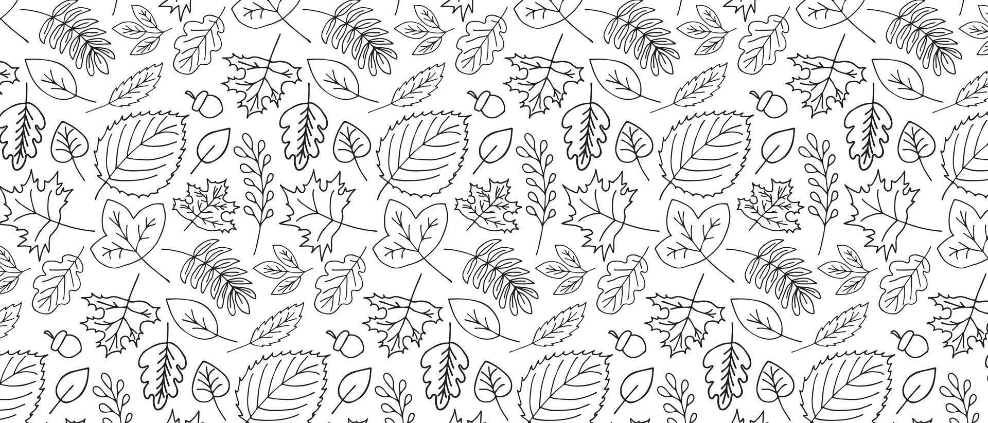 Autumn pattern with hand drawn leaves. Autumn black and white background vector