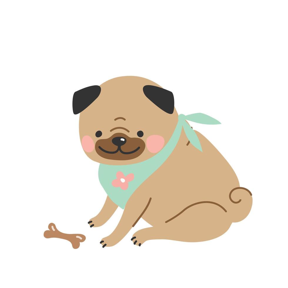 Cute cartoon pug in a bandana sits next to a bone. illustration in a flat style. vector