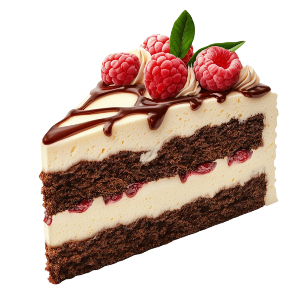 Chocolate Raspberry Cake Slice AI-Generative png