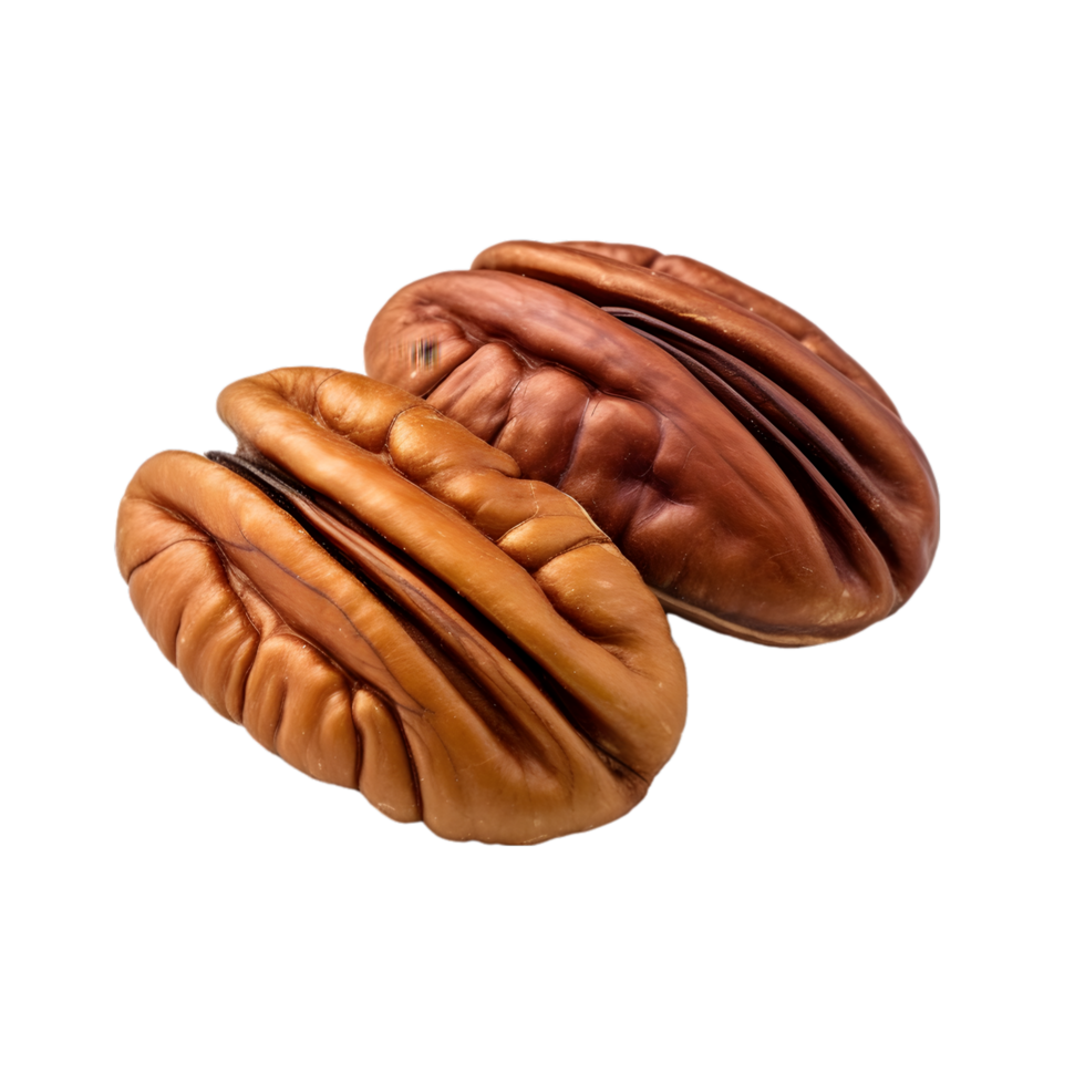 pecan nut on transparent background png