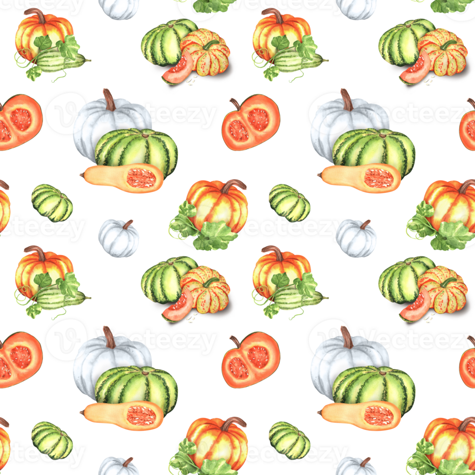 Seamless pattern with bright white, orange and green pumpkins, butternut squash and green leaves. Fall pattern for textile, wrapping paper, curtain, tablecloth. Hand-drawn watercolor illustrations. png
