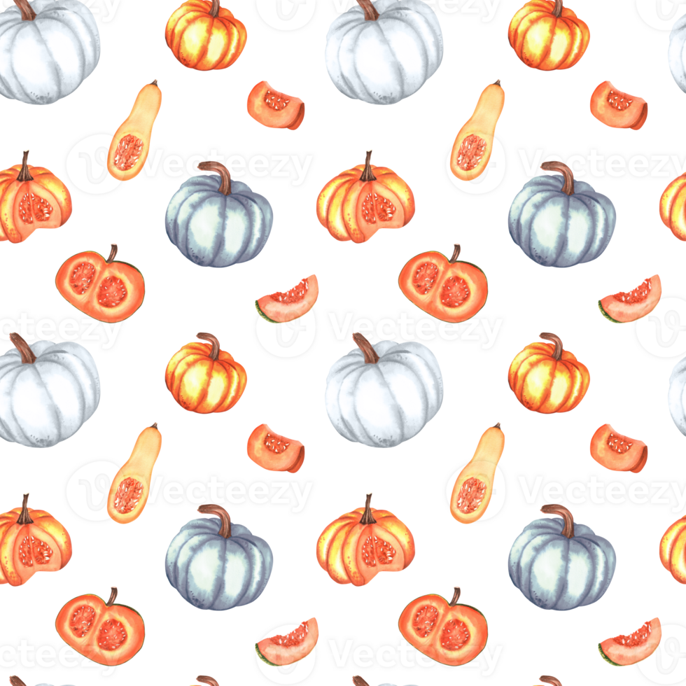 Seamless pattern with white, orange pumpkins, butternut squash and slices. Fall pattern for textile, wrapping paper, curtain, tablecloth. Hand-drawn watercolor illustrations. png