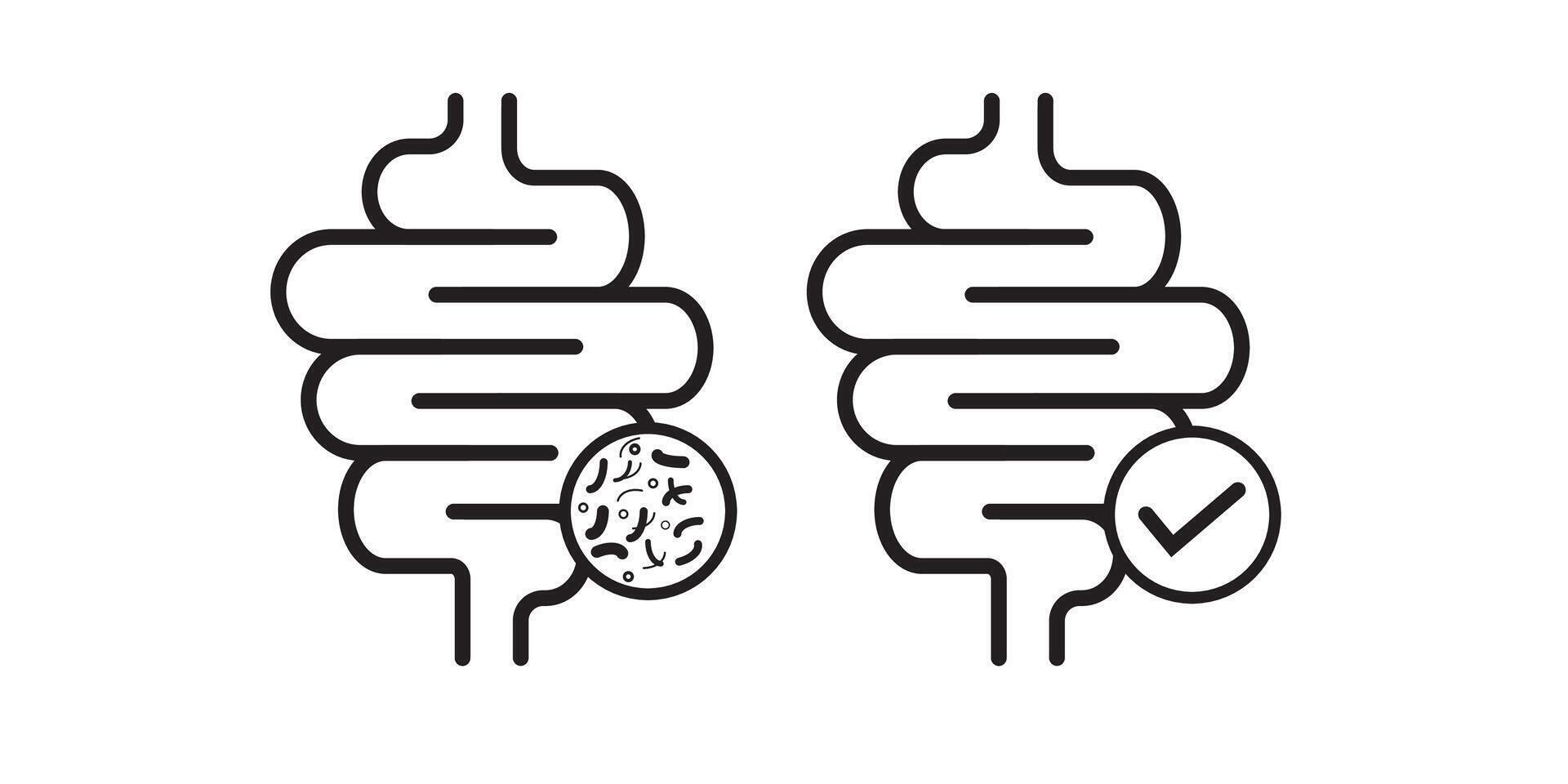 Intestine icon. Bowel symbol. Human anatomy, guts or intestinal tract illustration. Digestion sign. Abdominal gastric belly icon isolated. vector