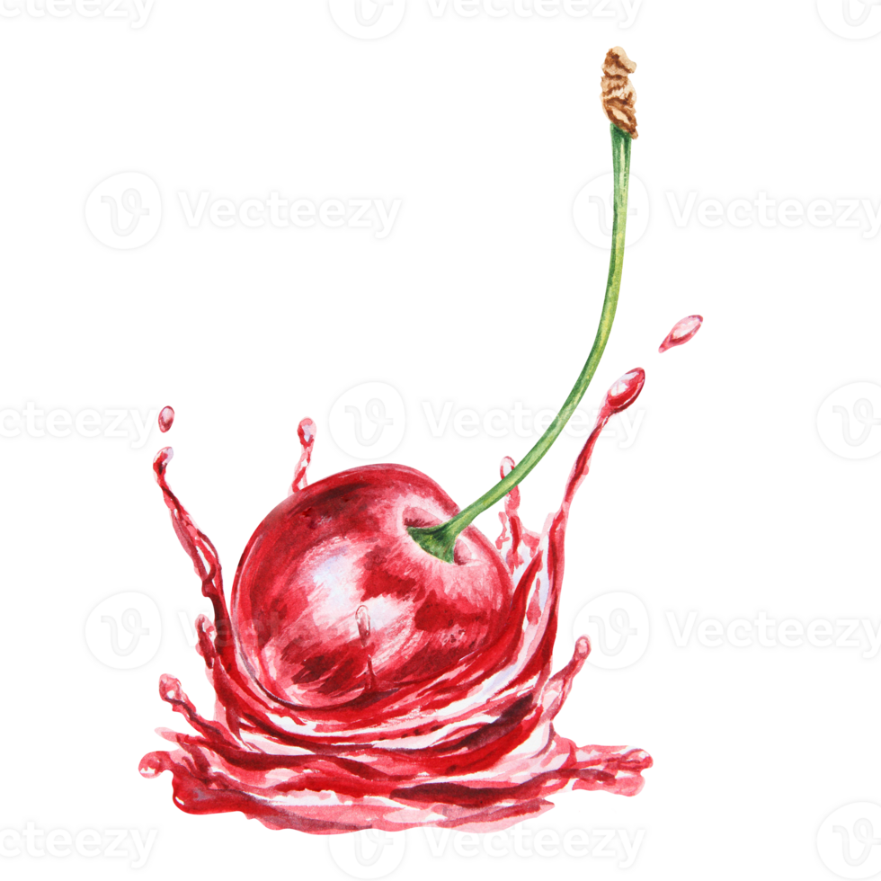 Red cherry in a splash. Juicy hand drawn watercolor illustration. Delicious food art, fresh botanical realistic painting. Summer berry clipart for menu, prints, packaging of farm goods, vegan products png