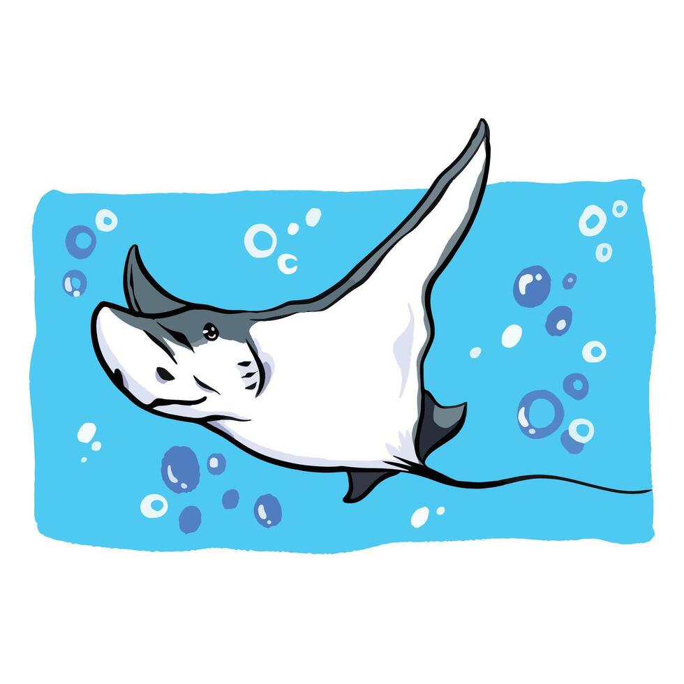 Eagle stingray fish illustration isolated on square white background. Colorful illustration with cartoon art styled drawing. vector