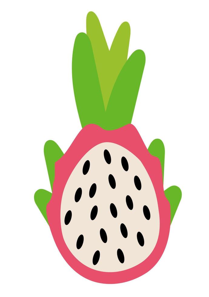 Dragonfruit Element. Concept of healthy food and product. Summer pitahaya. flat illustration. vector