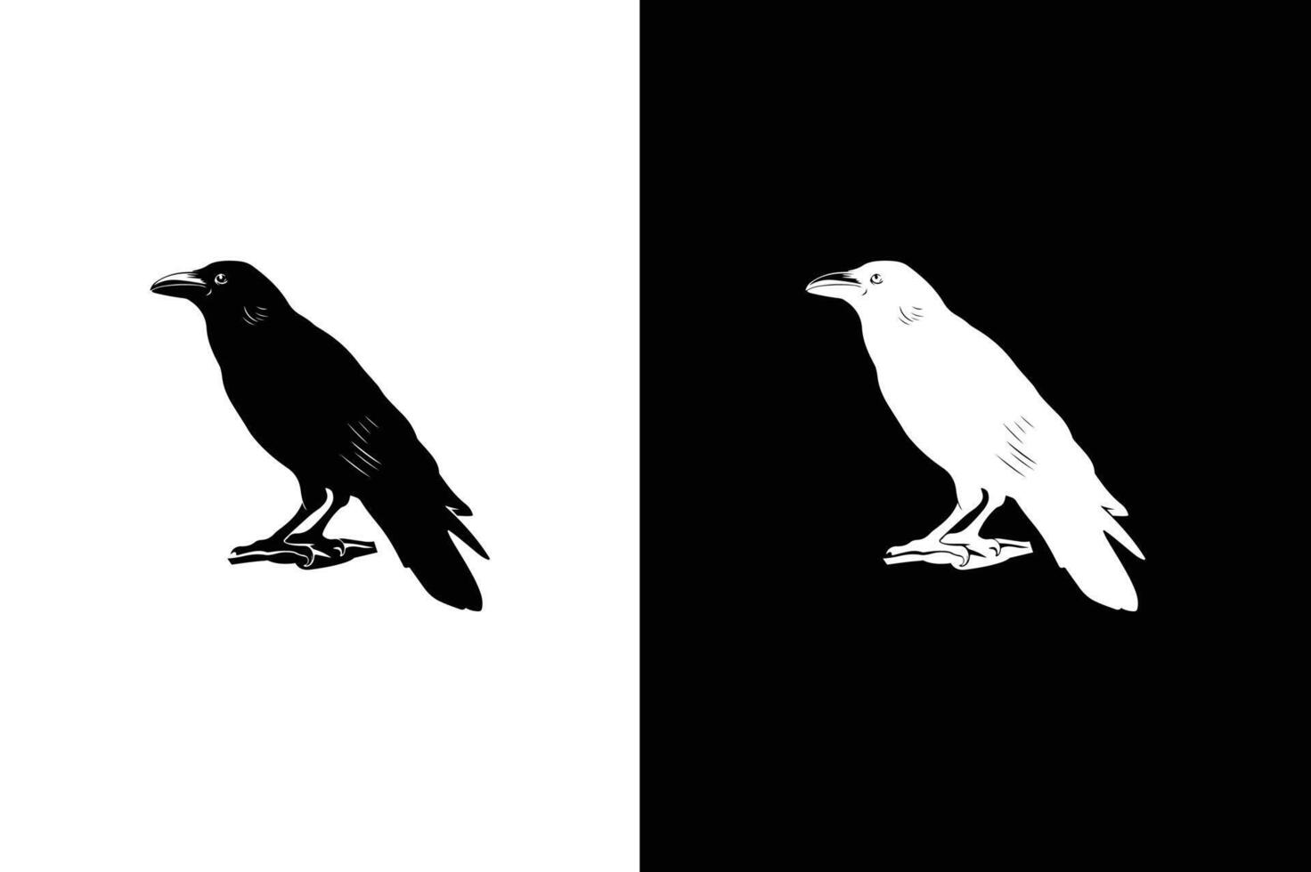 Crow icon silhouette illustration. , isolated black silhouette bird, crow vector