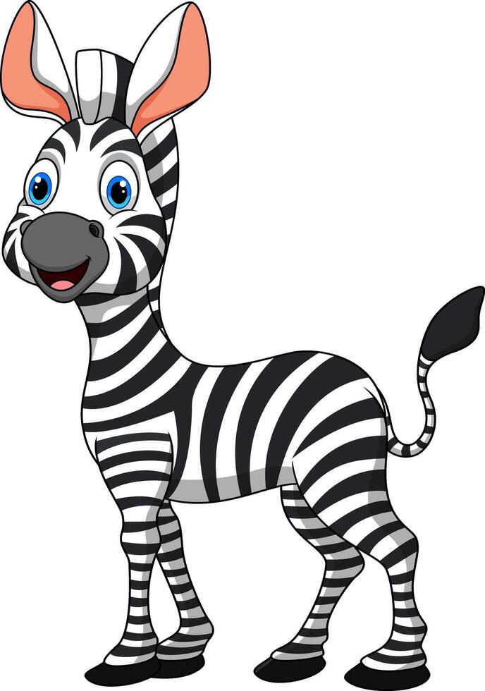 Cartoon happy zebra isolated on white background vector