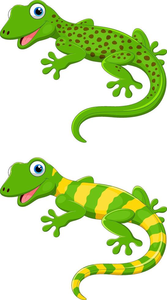 Cute lizard cartoon on white background vector