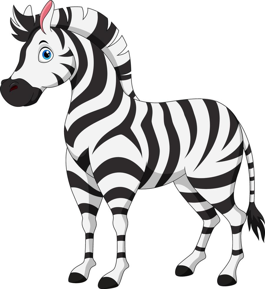 Cartoon happy zebra isolated on white background vector