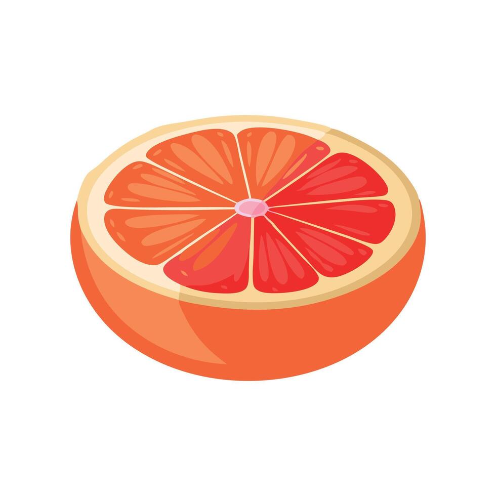Grape fruit flat illustration on white background vector