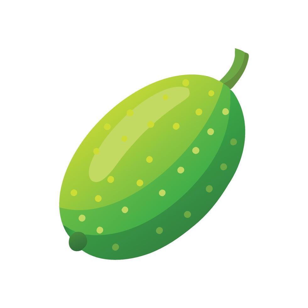 Finger lime Fruit flat illustration on white background vector