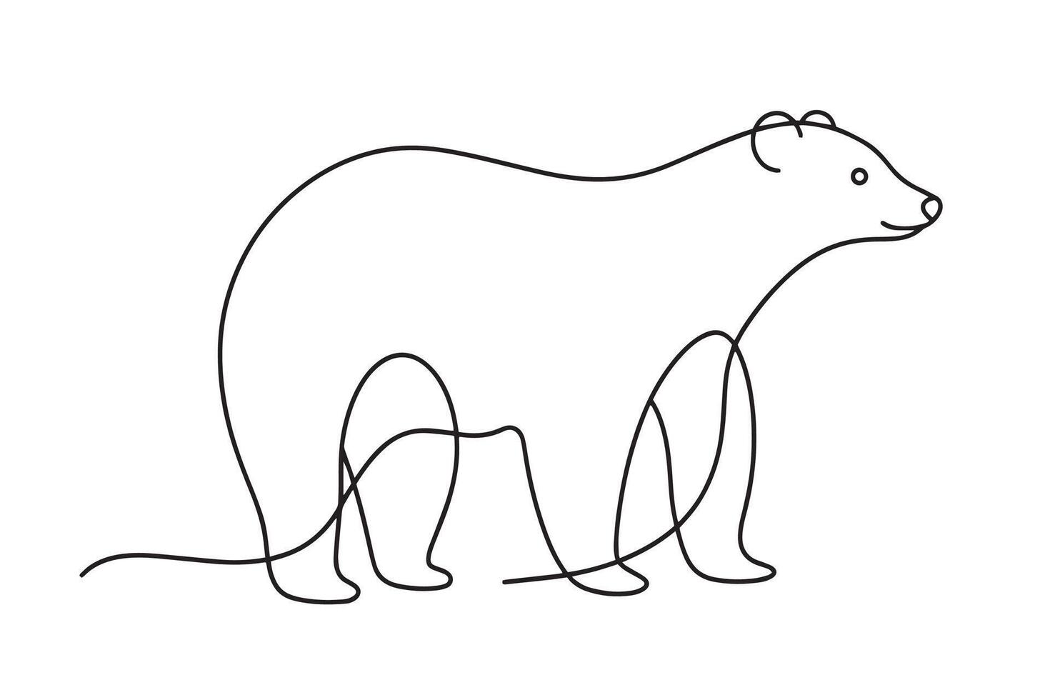 Polar bear Continuous line art illustration on white background vector
