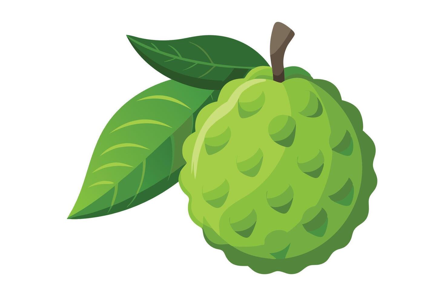 Atemoya Fruit flat illustration on white background vector