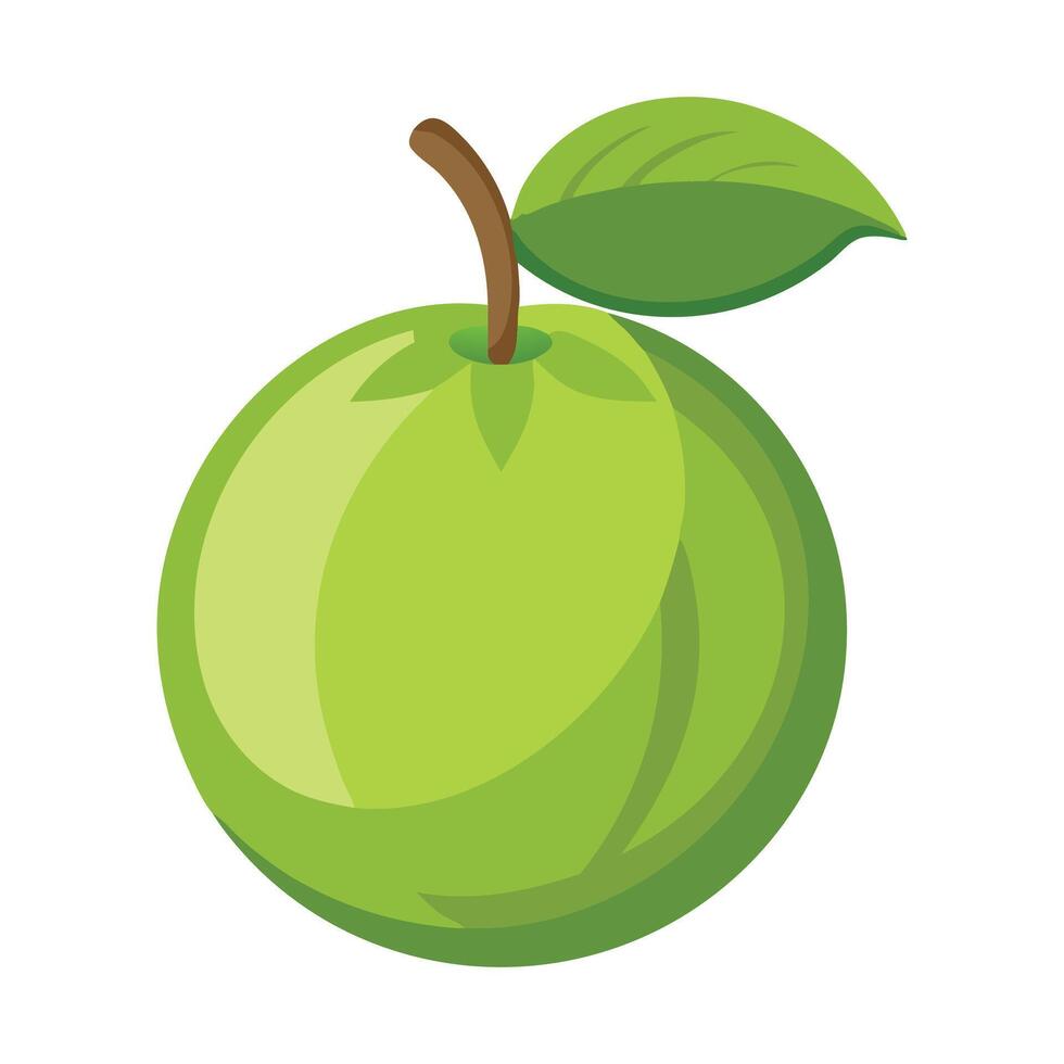 Cherimoya Fruit flat illustration on white background vector