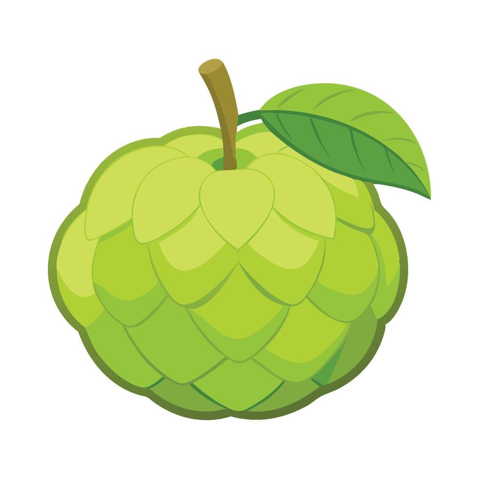 Custard Fruit apple flat illustration on white background vector