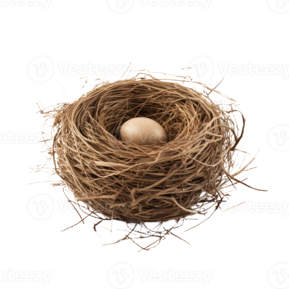 Brown Bird's Nest And Egg On Isolated Background. png
