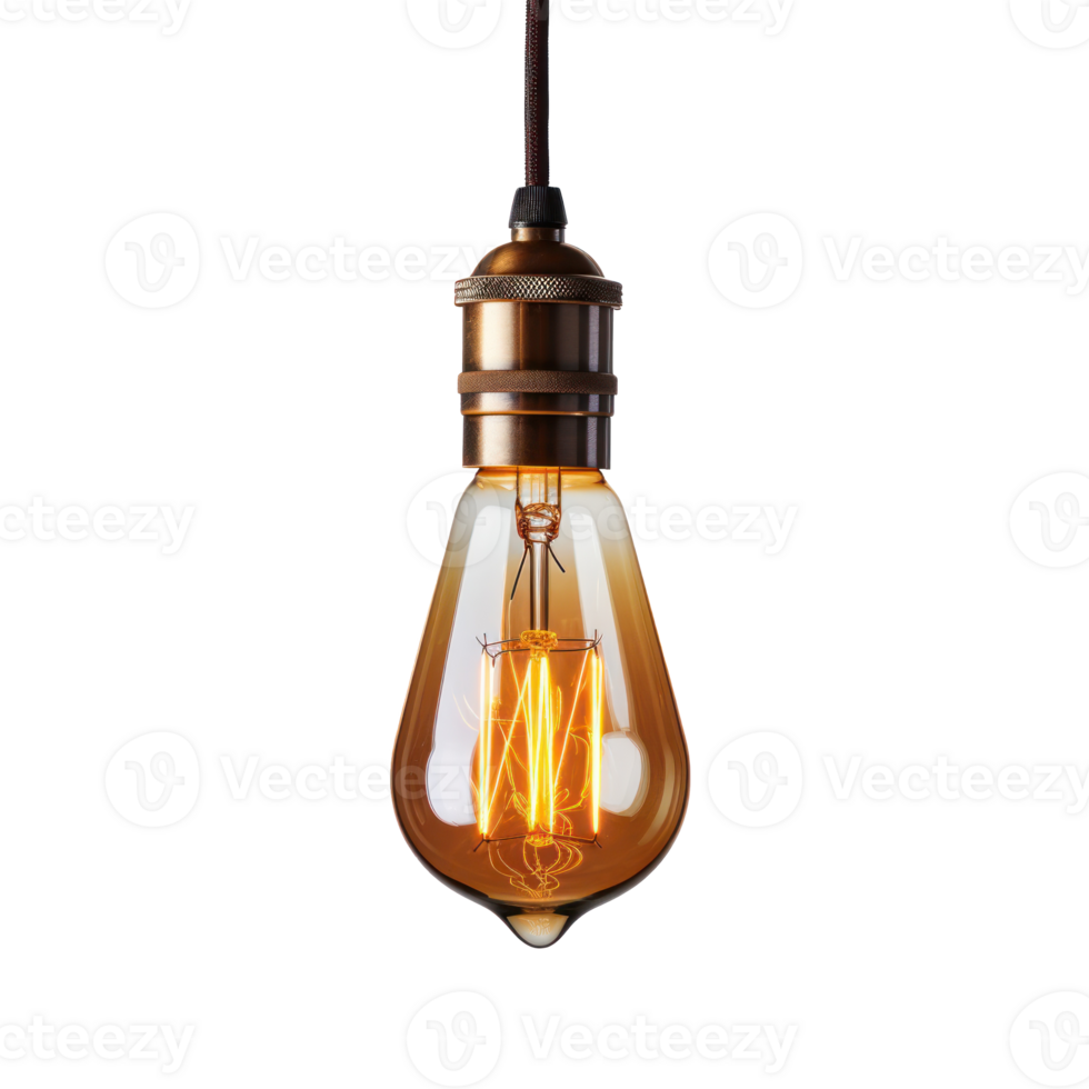 Vintage Edison Light Bulb on Isolated Background. Retro Classic Lightbulb png