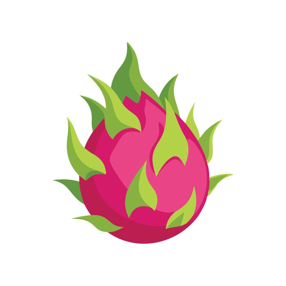 Dragon Fruit flat illustration on white background vector