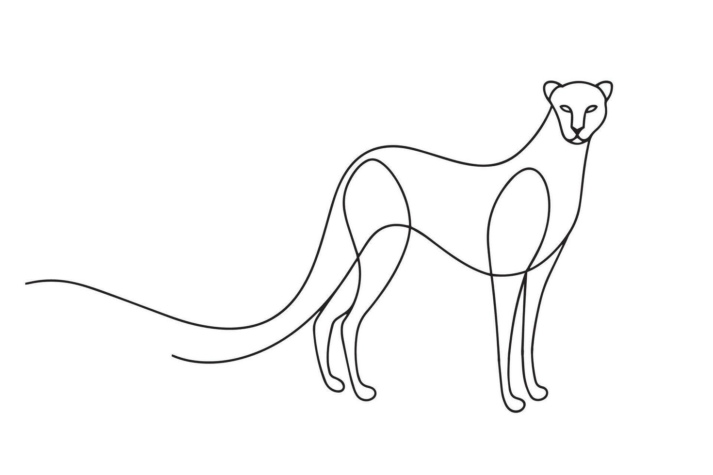 Cheetah Continuous line art illustration on white background vector