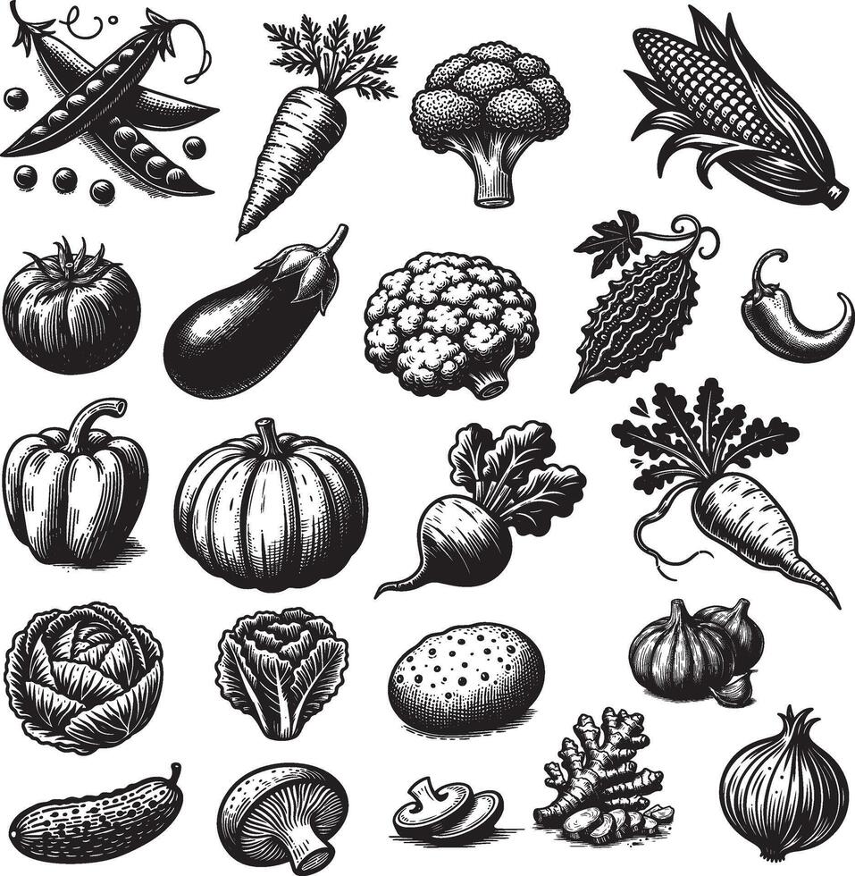hand drawn silhouette vegetables sketch illustration vector
