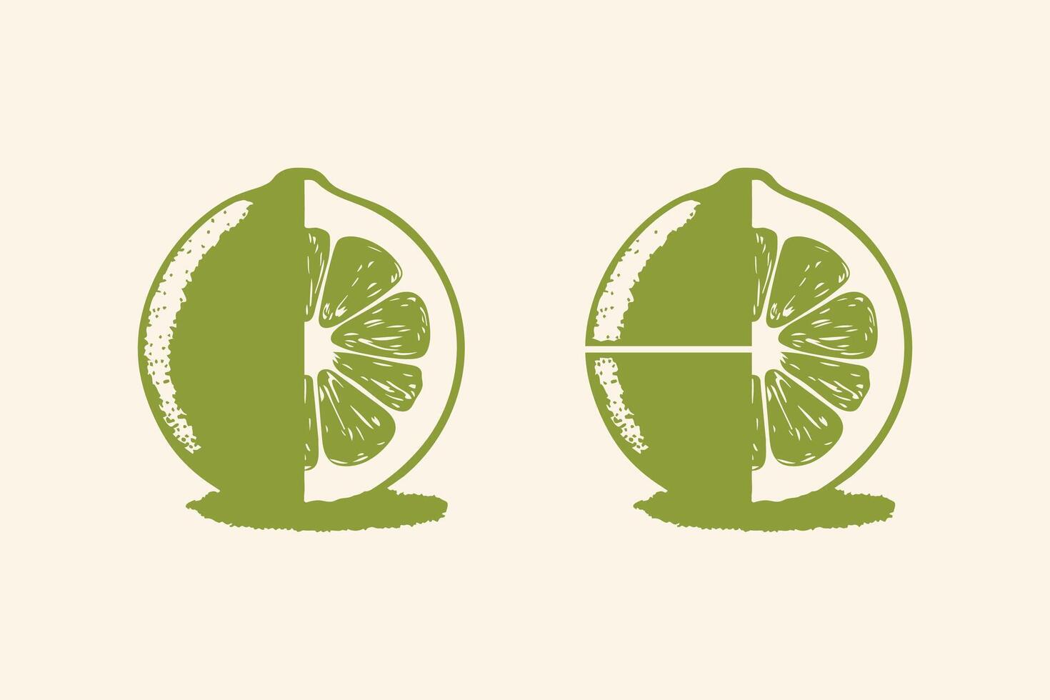 Lemon fruit illustration and slice of fresh lemon vector