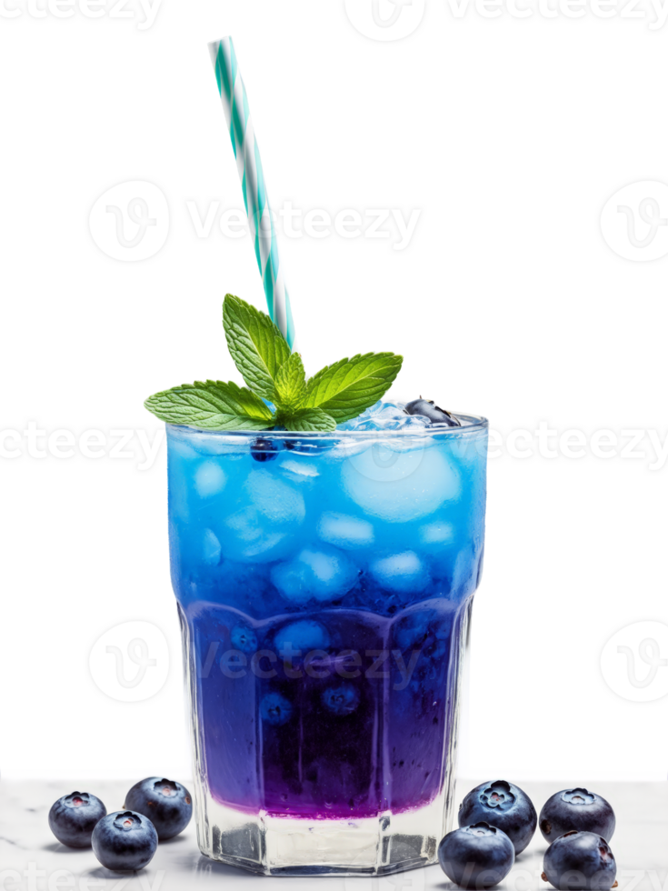 Idaho Huckleberry Lemonade Stand Tall glass with lemonade huckleberries and sprig of mint served at png