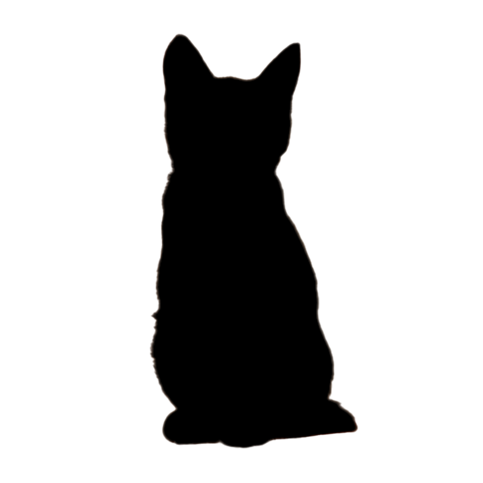 Cat Illustration - Cat Drawing - Cat Outline png
