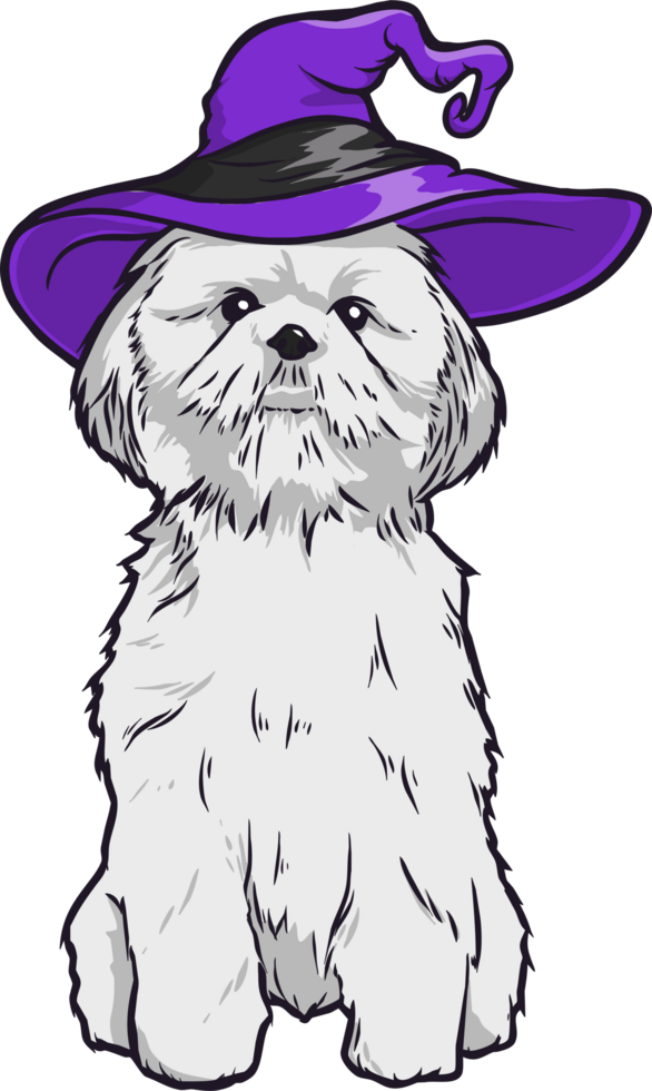 halloween witch shih tzu png