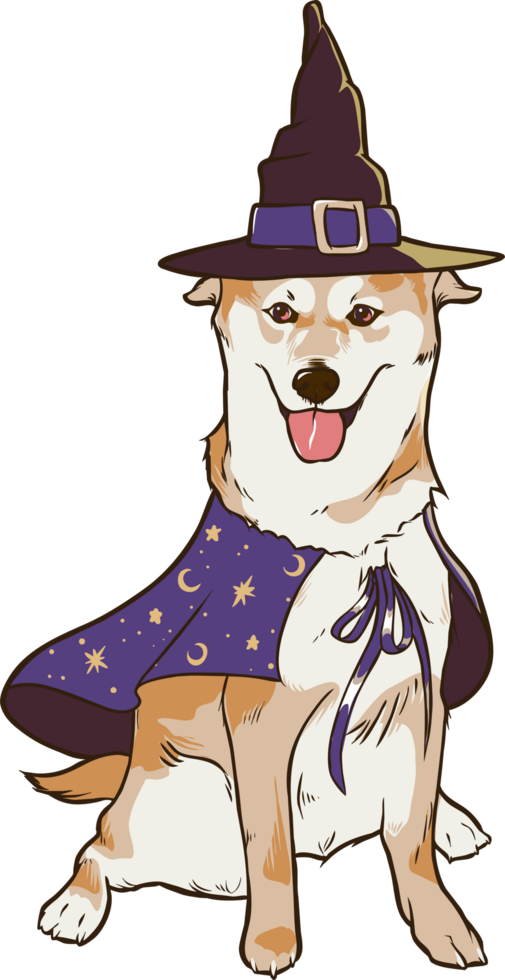 halloween wizard shiba inu png