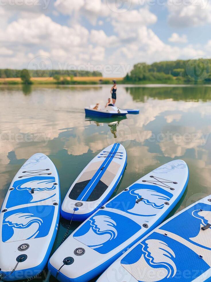 The SUP boards are at the pier on a calm lake, a catamaran with 2 people and a dog, and a forest and yellow field. photo